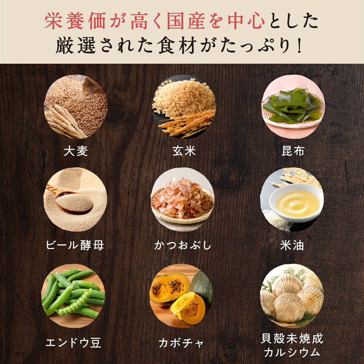 楽天市場】【 公式 】 シニアのための このこのごはん コノコトトモニ