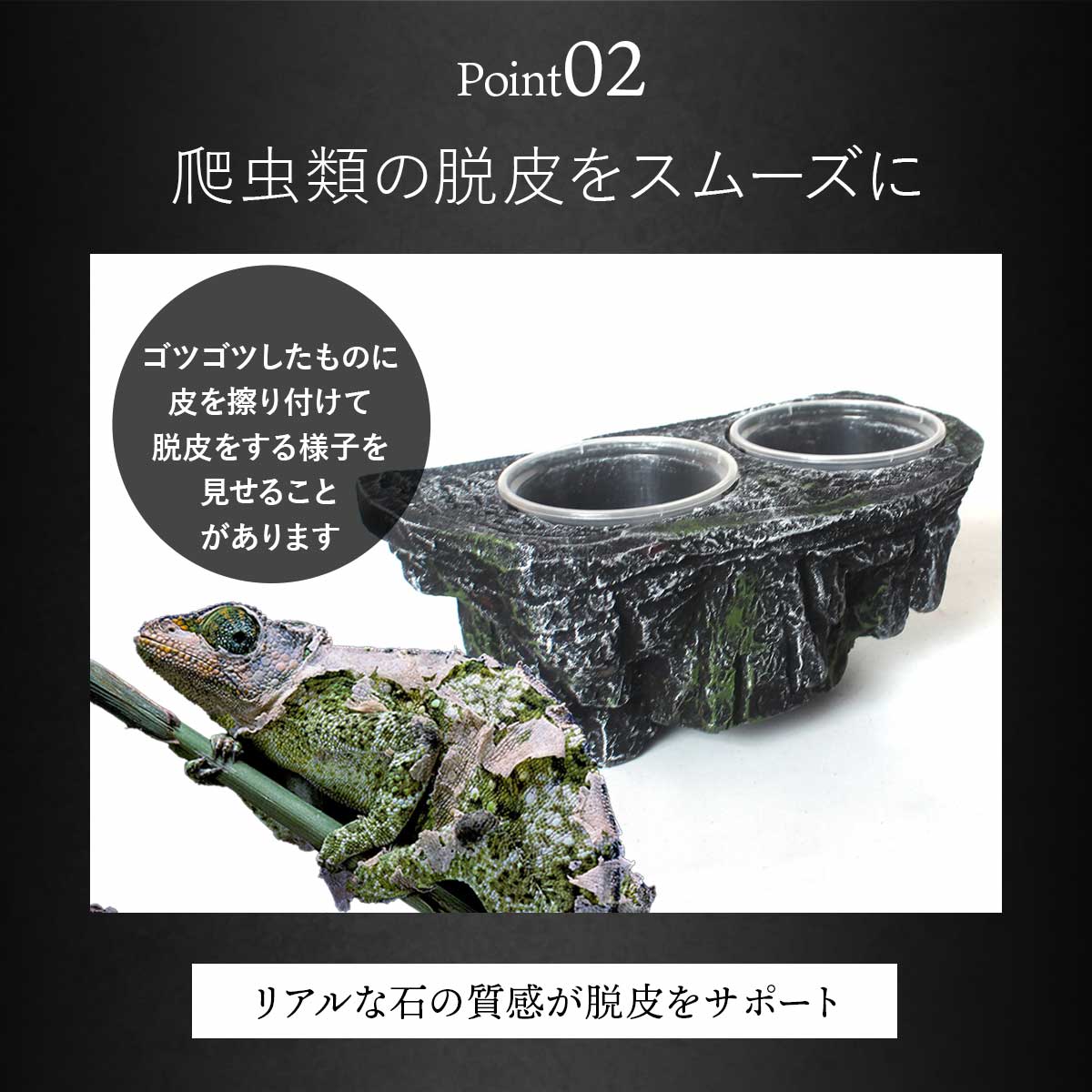 楽天市場】爬虫類 水入れ エサ入れ 吸盤 爬虫類 餌入れ ウォーター