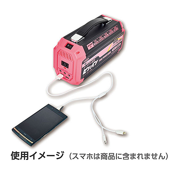 楽天市場】☆日動 LPE-R250L ポータブル電源 ピンバン AC100V 250W