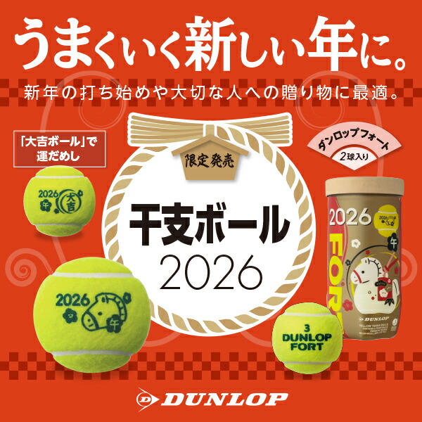 楽天市場】【10%OFFクーポン対象】ダンロップ DUNLOP テニステニス