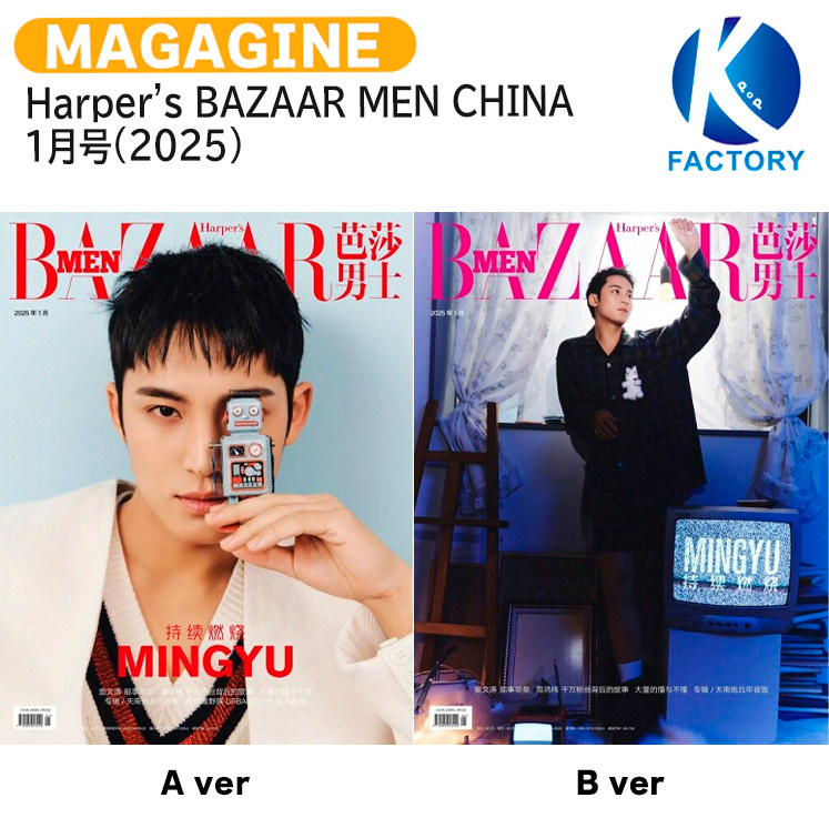 seventeen ミニティーンキムジャミンギュセット2025