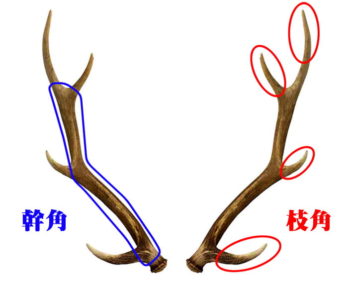 北海道産シカ角おやつ 29kg （根付） 北海道産シカ角おやつ 29kg