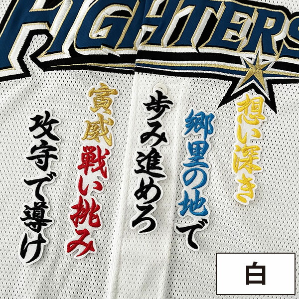 楽天市場】納期注意【日本ハムファイターズ 刺繍ワッペン 伏見 応援歌