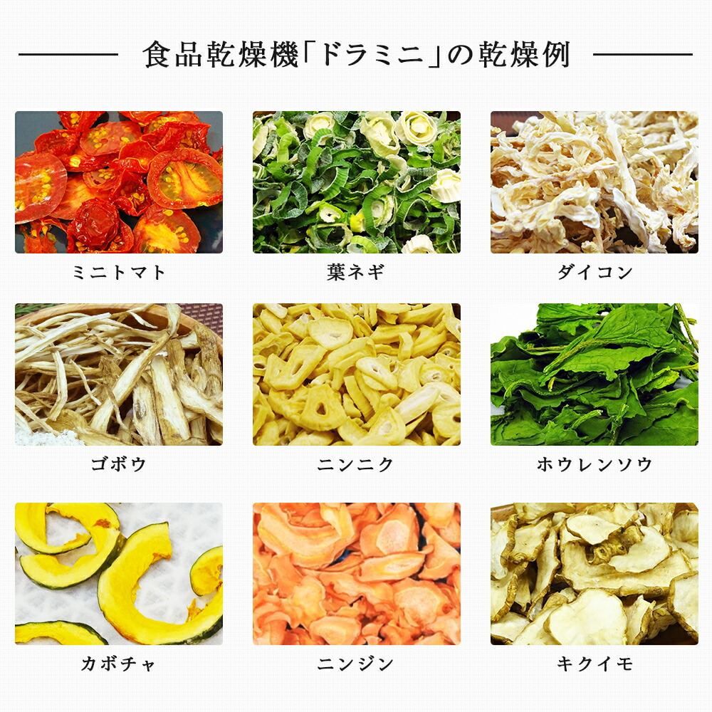 楽天市場】フードドライヤー 食品乾燥機 ドライフルーツメーカー
