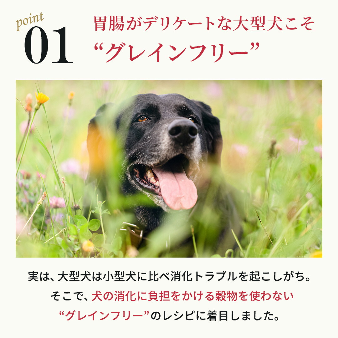 楽天市場】【公式】ネルソンズ ドッグフード（5kg）全犬種・全年齢対応