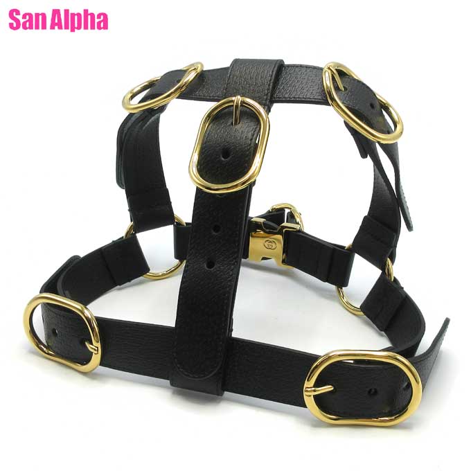 楽天市場】グッチ GUCCI（首輪・胴輪・リード｜犬用品）：ペット