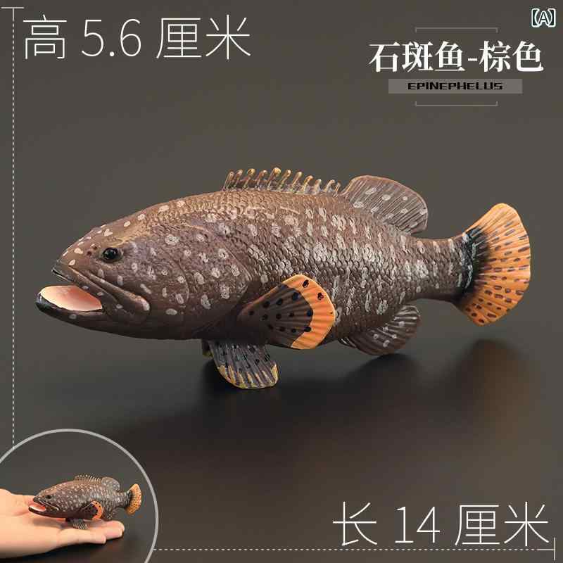 キジハタ フィギュア 魚寸30cm キジハタ フィギュア 魚寸30cm - メルカリ