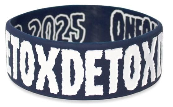 激レア】ELLEGARDEN ワンオク 入場リストバンド 復活ライブ 入手困難