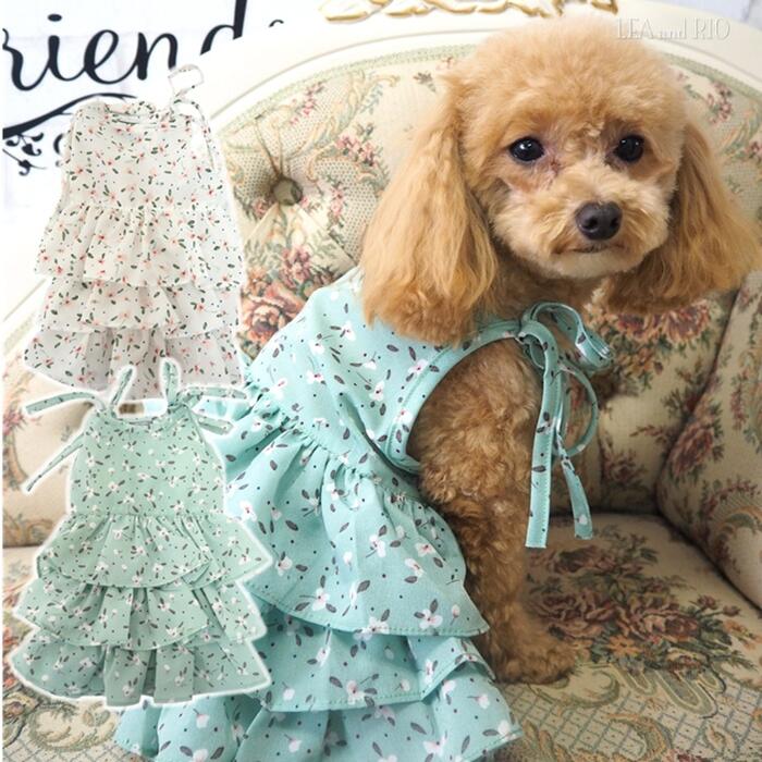 楽天市場】リバティ ワンピース（ペット・ペットグッズ）の通販