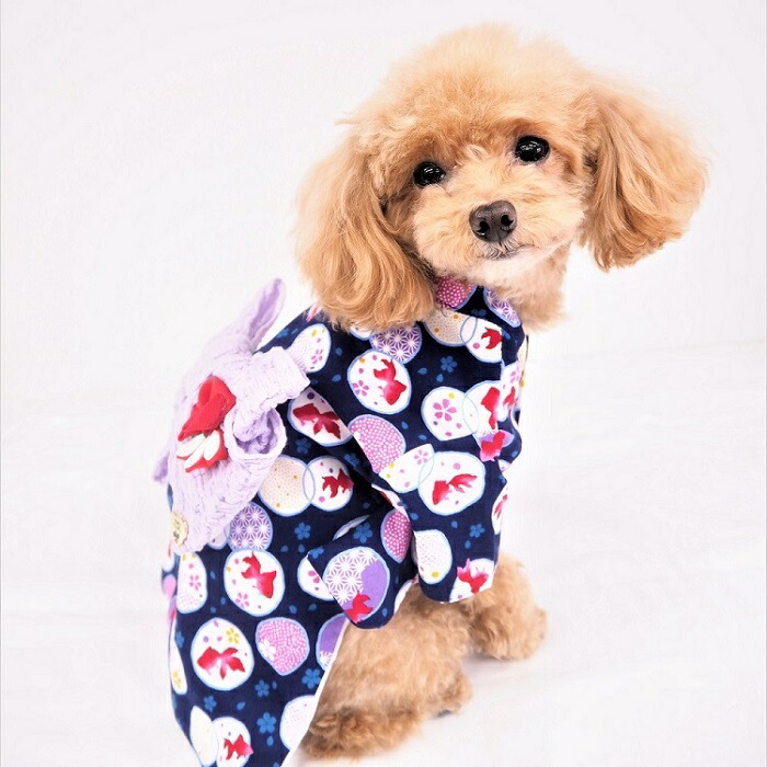 楽天市場】浴衣 0～6号 祭り 子犬 お揃い 和装 和服 和柄 和 極小型犬