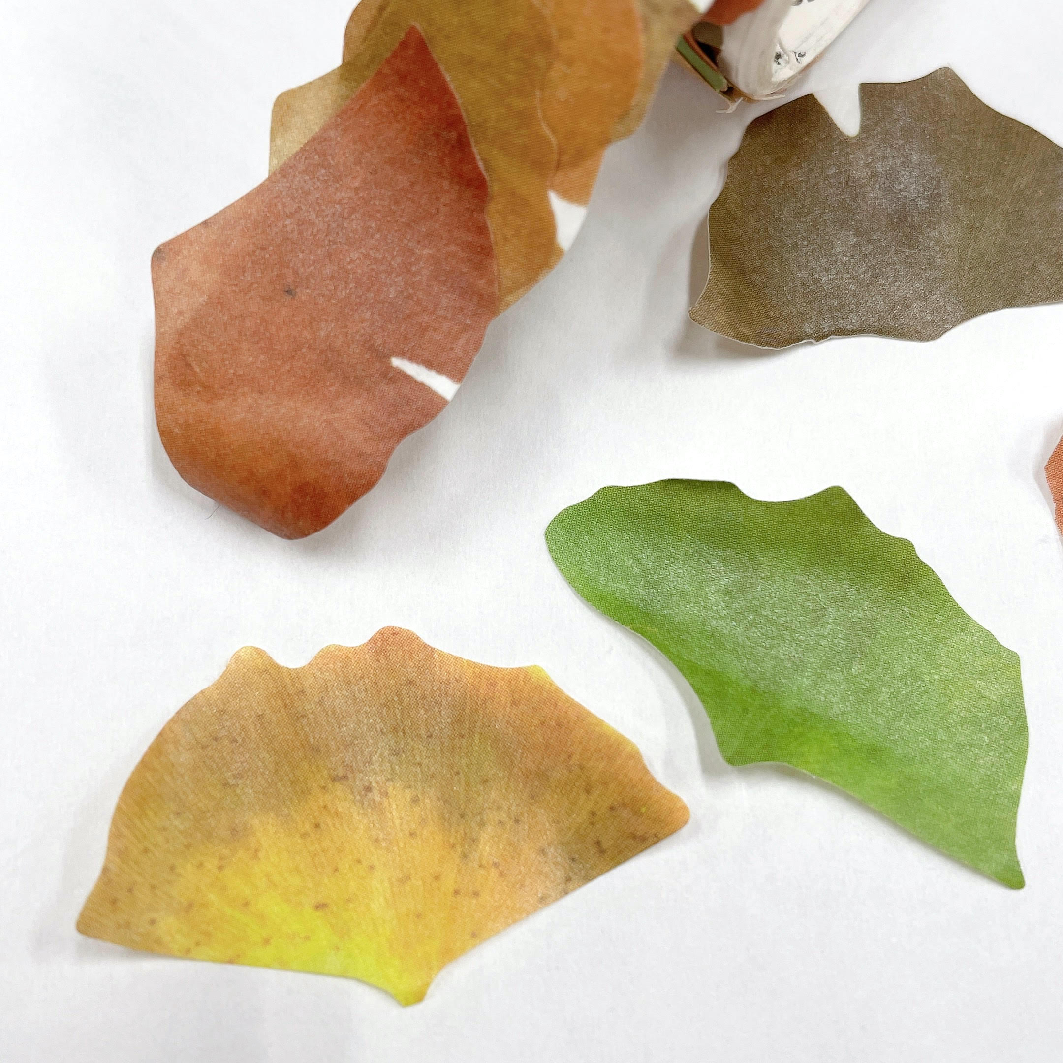 楽天市場】1枚ずつはがせる【マスキングロールテープ】50枚 イチョウ