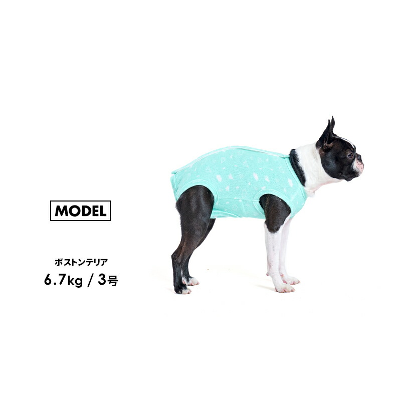 ○犬服○ハンドメイド 胴43 NO.572