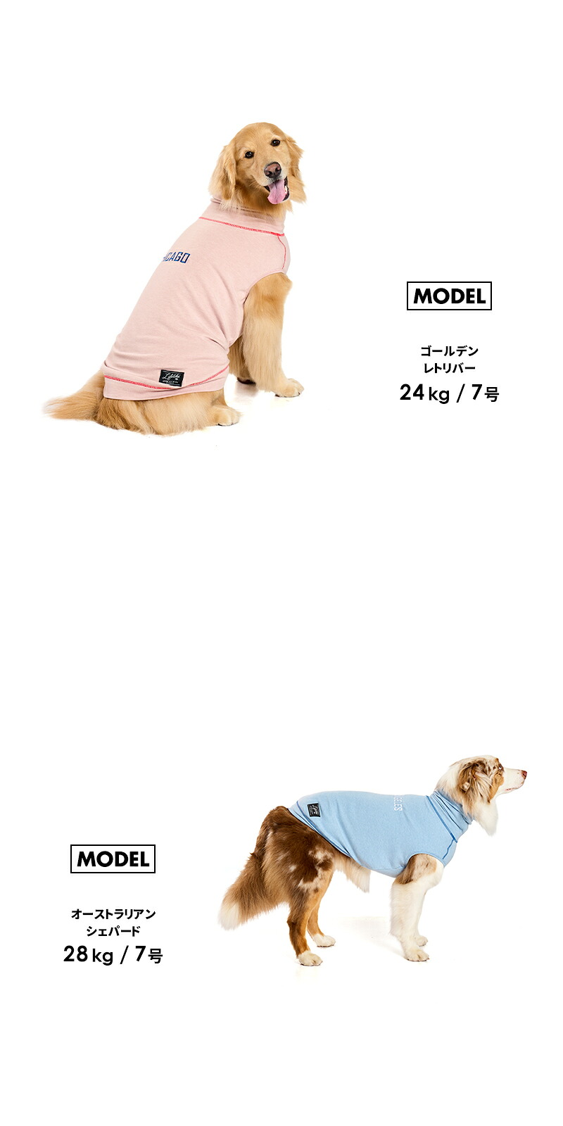 楽天市場】【ハイネックシティーウォーム5-6号】犬 服 秋 冬 シンプル