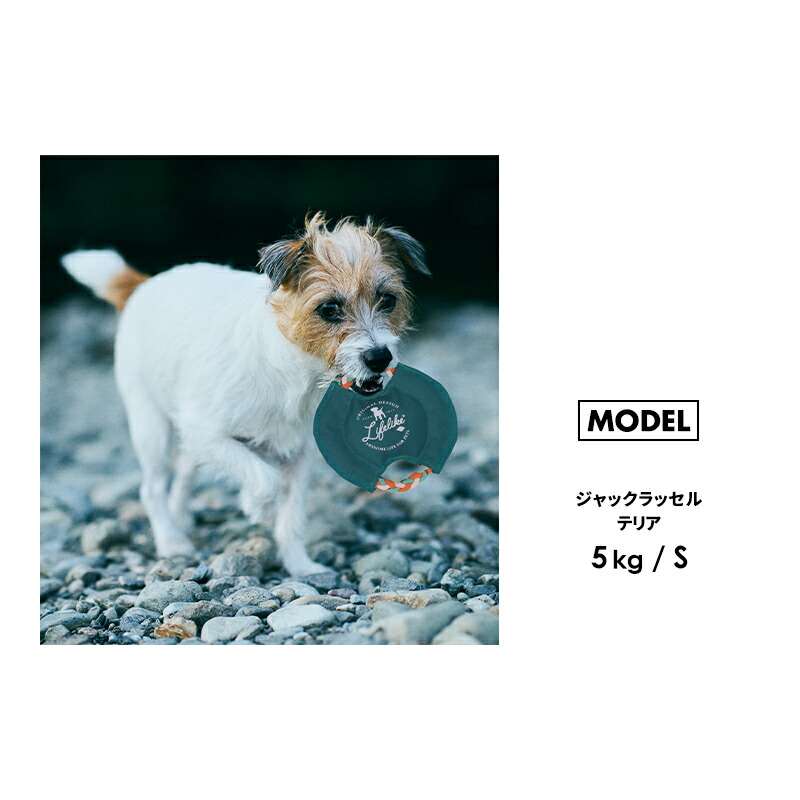 楽天市場】【パラコードフリスビーS】フリスビー パラコード 笛入り 音