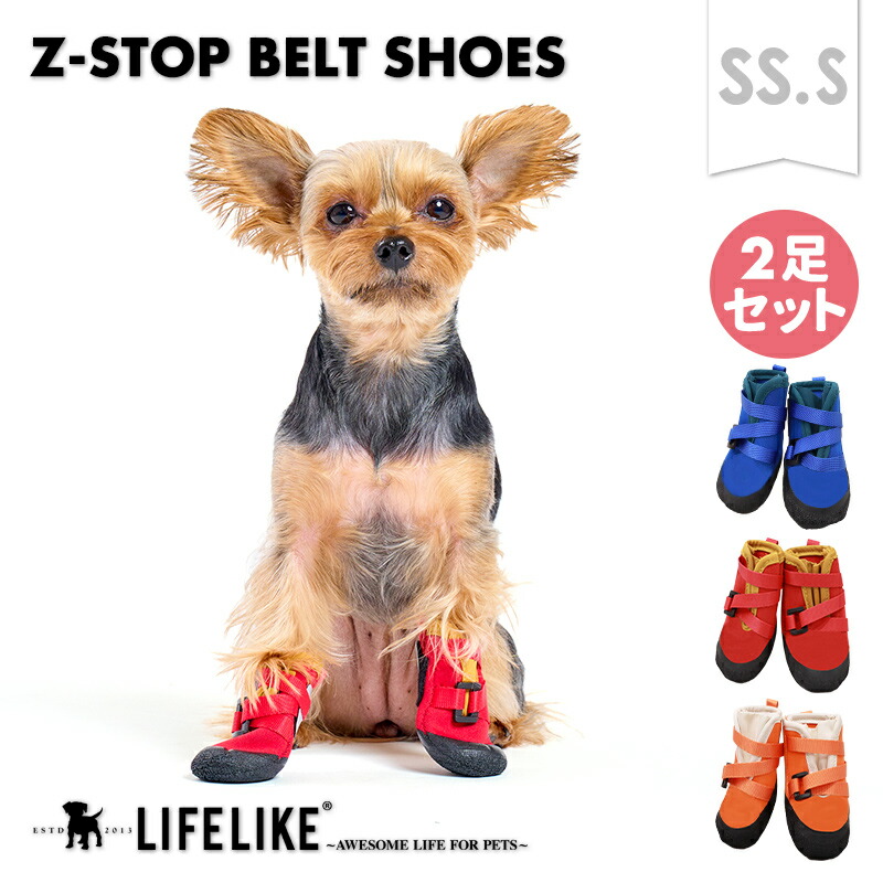 楽天市場】【ゼットストップベルトシューズSS-S】犬 靴 犬用靴 犬の靴