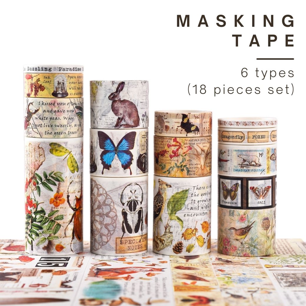 楽天市場】【在庫限り】 マスキングテープ 18種セット 詰め合わせ 大