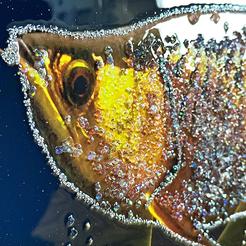 楽天市場】水晶パネル アートパネル 60×80cm アロワナ 金フレーム付き