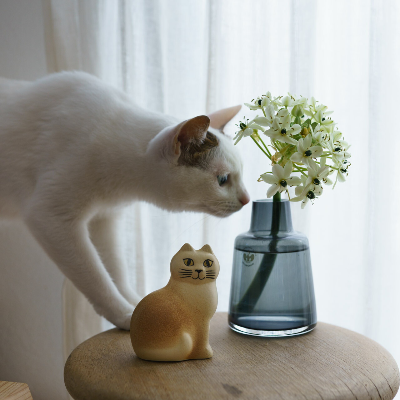 楽天市場】【個体で選べる】 プレゼントボックス入り 正規品 Mans