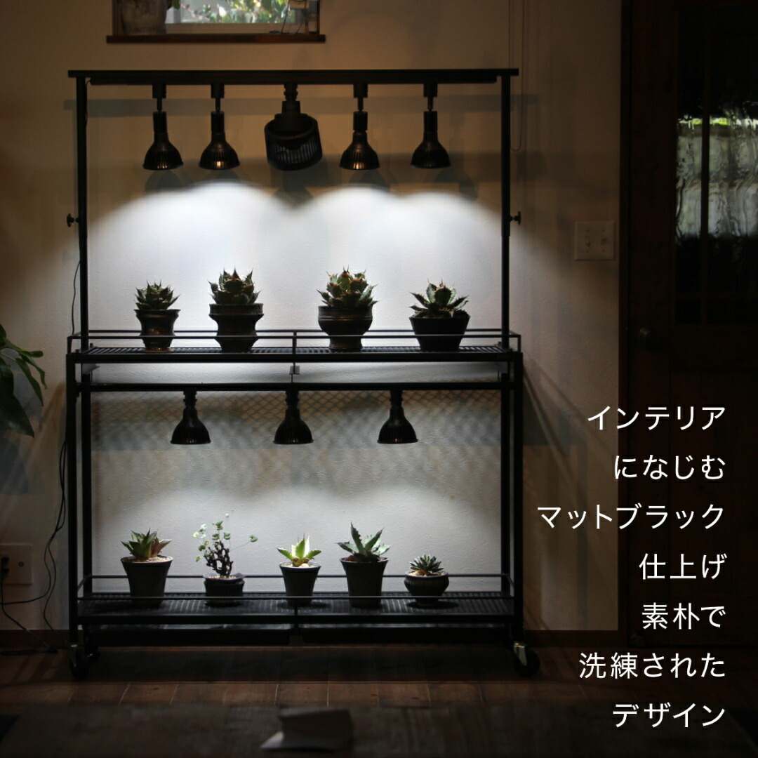 2024 アイアンシェルフ アイアンラック 多肉植物 アガベ ライトレール