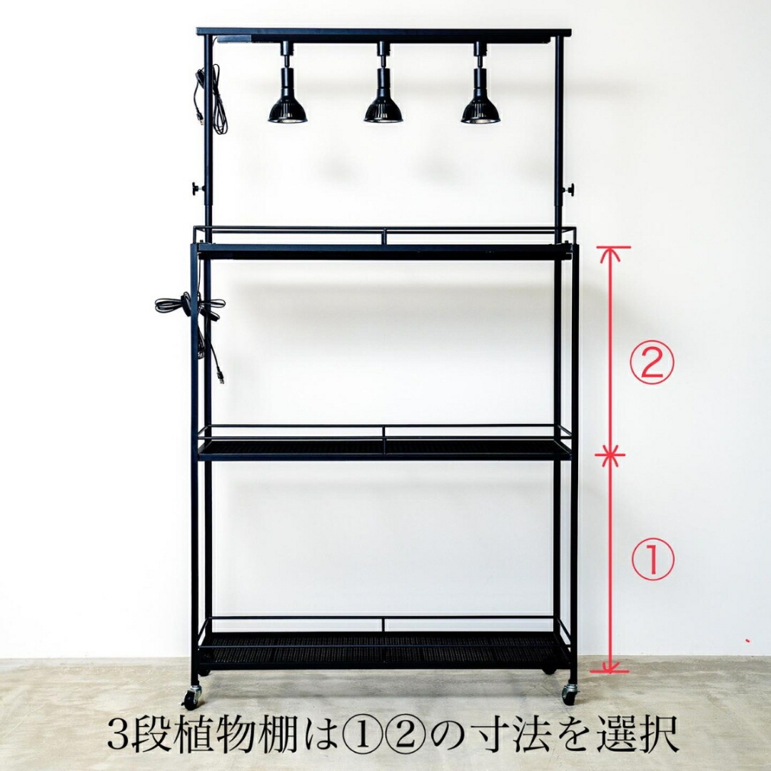 楽天市場】スタンダード植物棚 アガベラック 塊根ラック 育成ラック