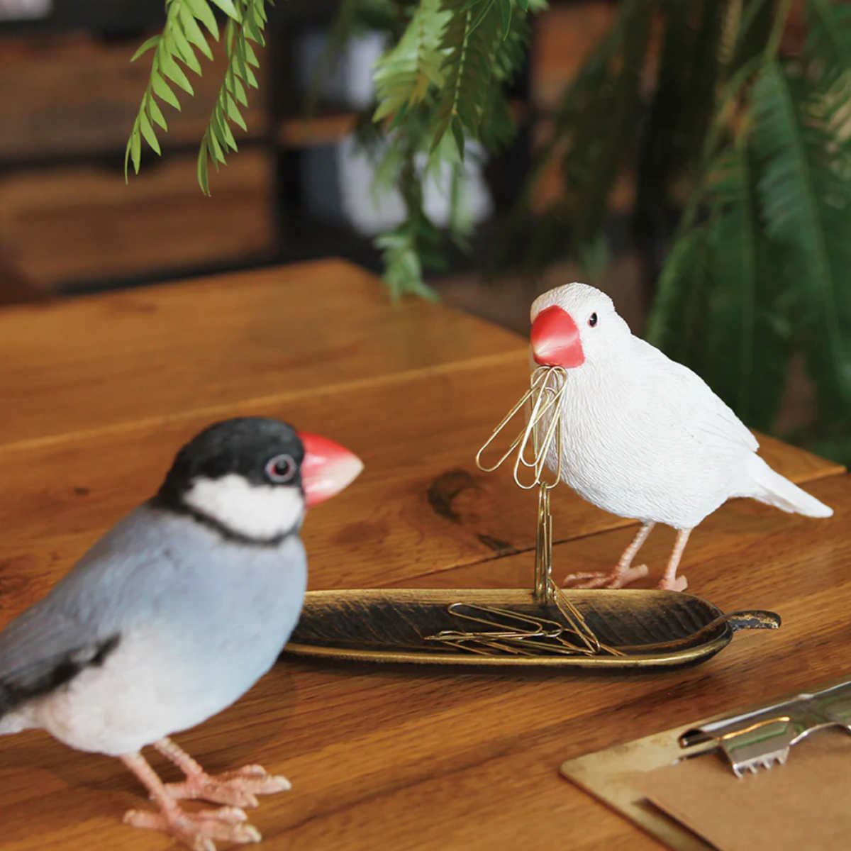 楽天市場】オブジェ BIRDIE BILL 文鳥 マグネット付き （ 置き物 鳥