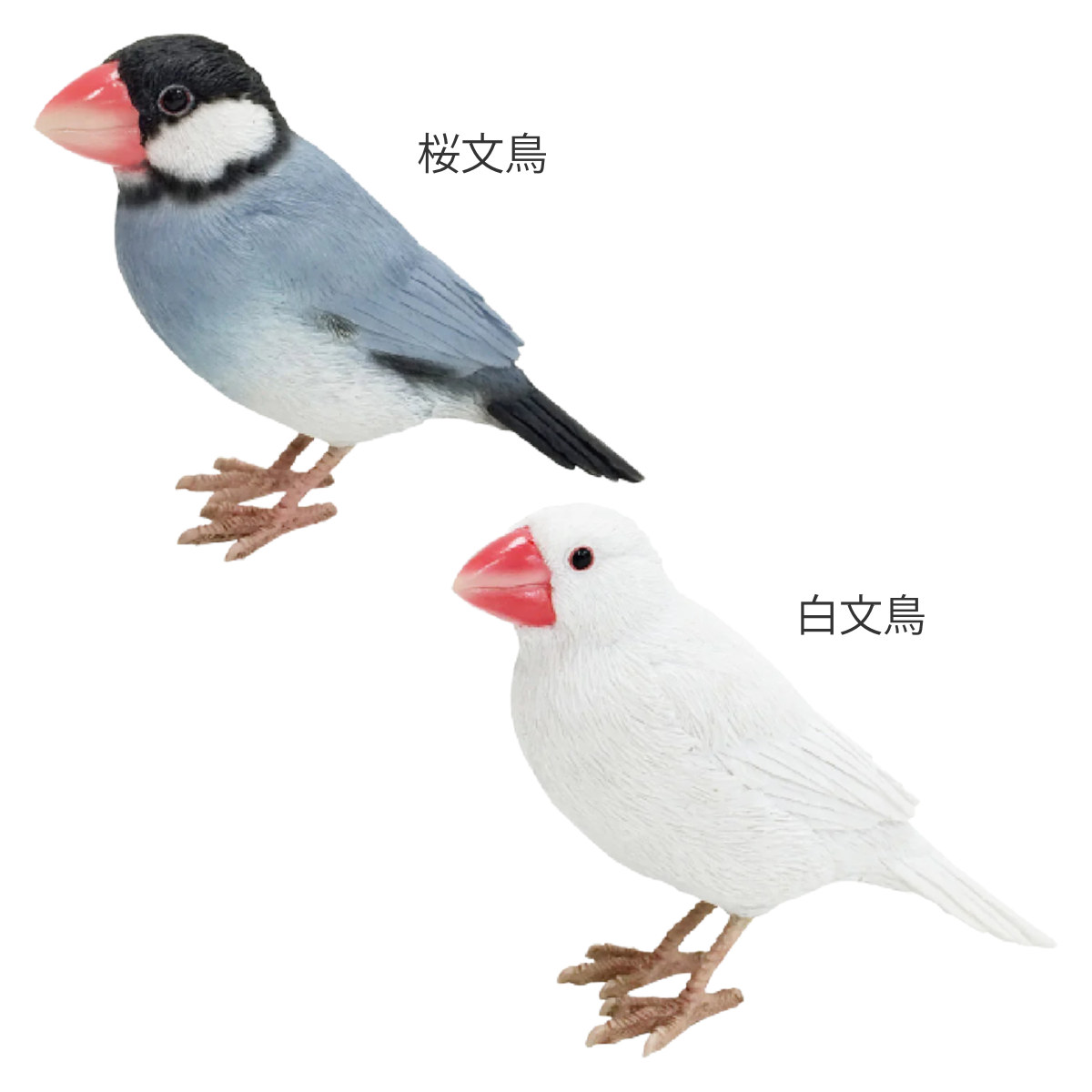 楽天市場】オブジェ BIRDIE BILL 文鳥 マグネット付き （ 置き物 鳥