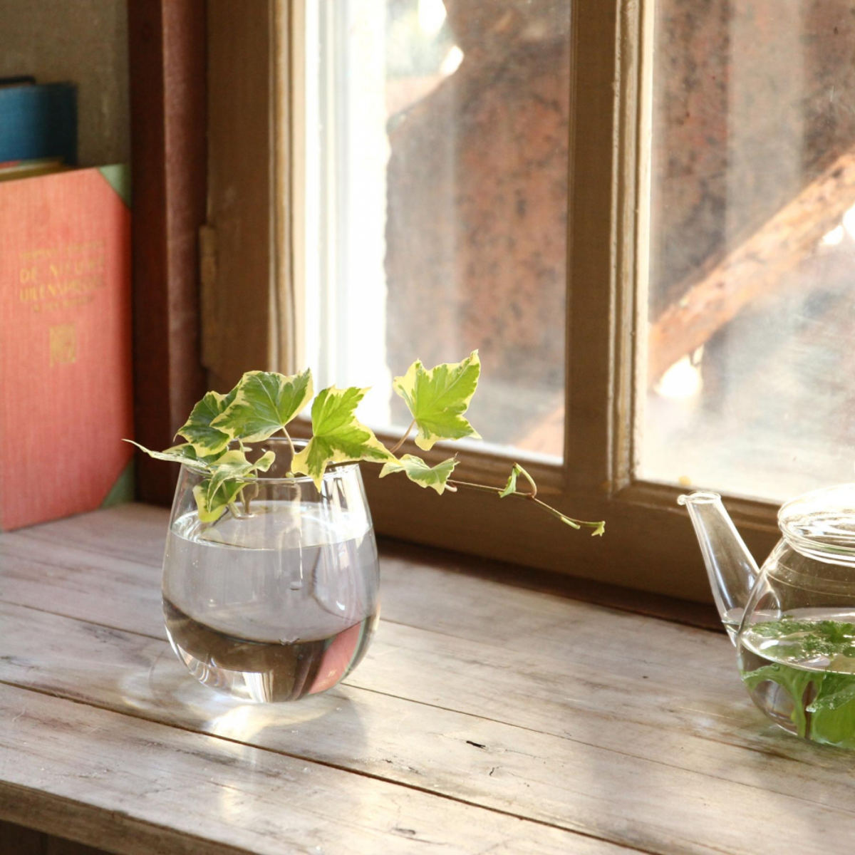 楽天市場】クォーツクリスタル フラワーベース ショート （ 花器