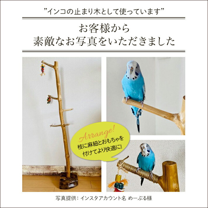 オウムスタンド&止まり木他オーダー品{コメント用}
