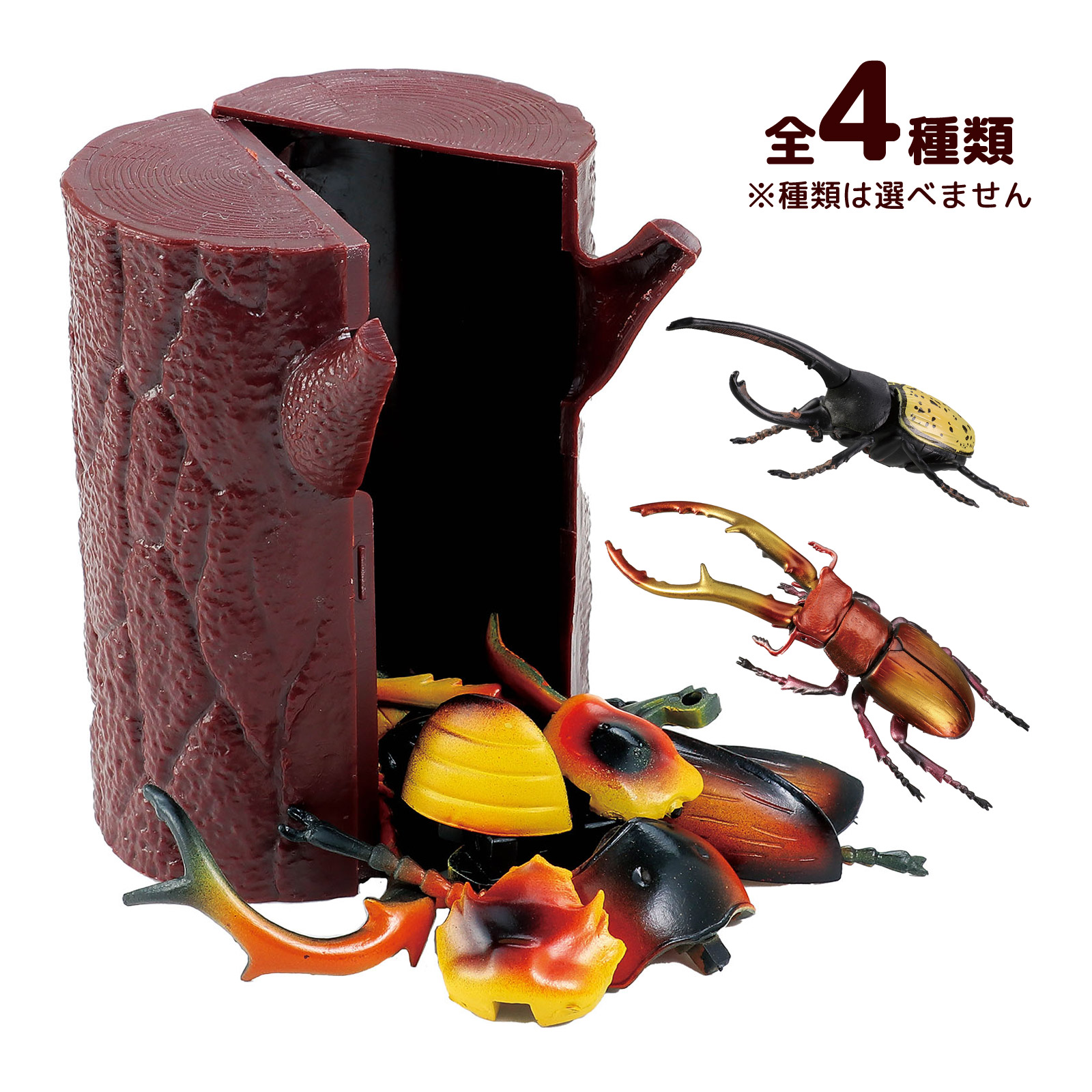 楽天市場】立体パズル 3D パズル DE フィギュア 昆虫 インセクト 1個