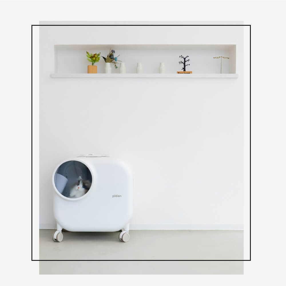 楽天市場】pidan ピダン スマートペットトラベルボックス ペット