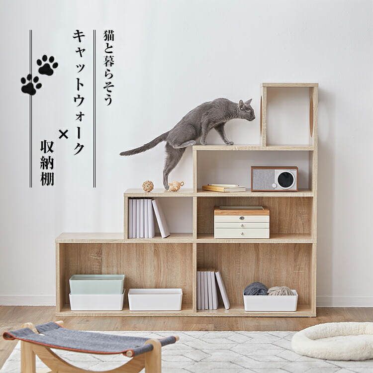 楽天市場】キャットウォーク キャットタワー 棚 壁 収納 猫 家具 木製