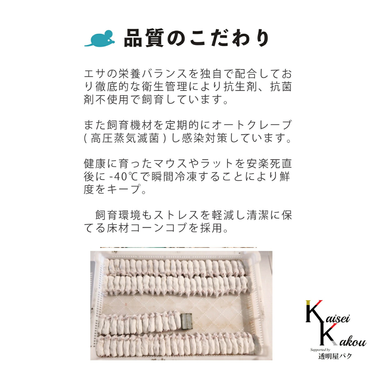 冷凍マウス リタイア 40匹 リタイアマウス | ネズミ屋さん