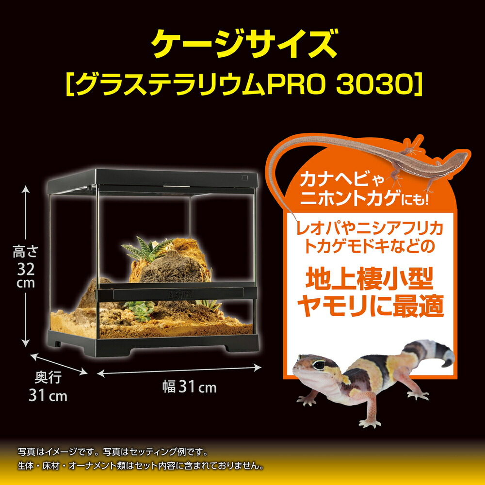 楽天市場】○【エキゾテラ】レオパ飼育キット GTP3030 EXOTERRA