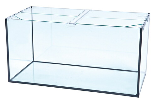 熱帯魚 水槽 オールガラス レグラス900