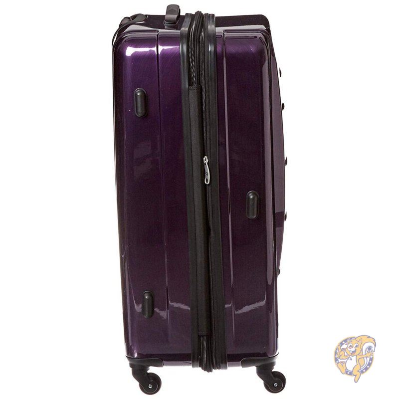 楽天市場】【最大1000円クーポン25日限定】【Samsonite】Winfield 2