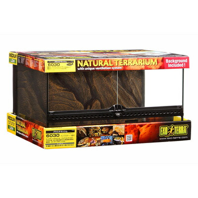 グラステラリウム6030 爬虫類」の人気商品一覧 | 安い商品を通販サイト