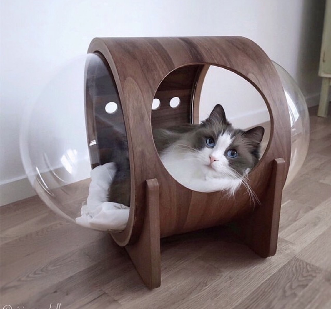 楽天市場】MYZOO マイズー 宇宙船ALPHA キャットハウス キャット