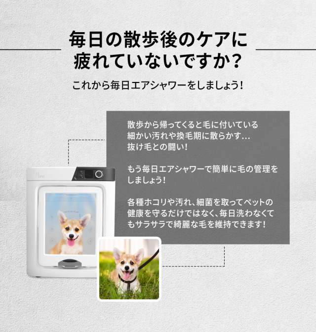 楽天市場】PePe ペット ドライルーム 軽量 ペットハウス ドライヤー