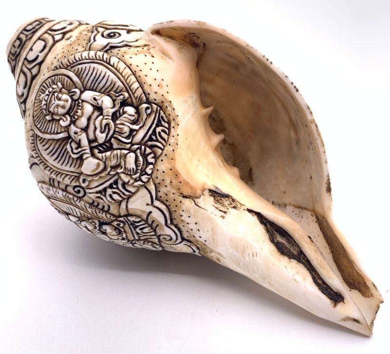 ◇チベット密教法具 法螺貝（シャンカ）ジャンバラ(宝蔵神)