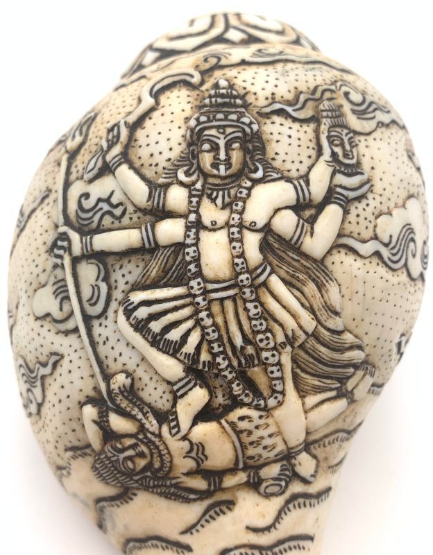 楽天市場】◇チベット密教法具 法螺貝（シャンカ）カーリー : PEMA NIMA