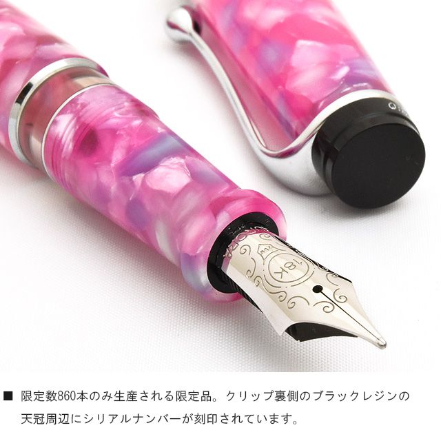 楽天市場】万年筆 アウロラ 万年筆 限定品 カレイドスコーピオ