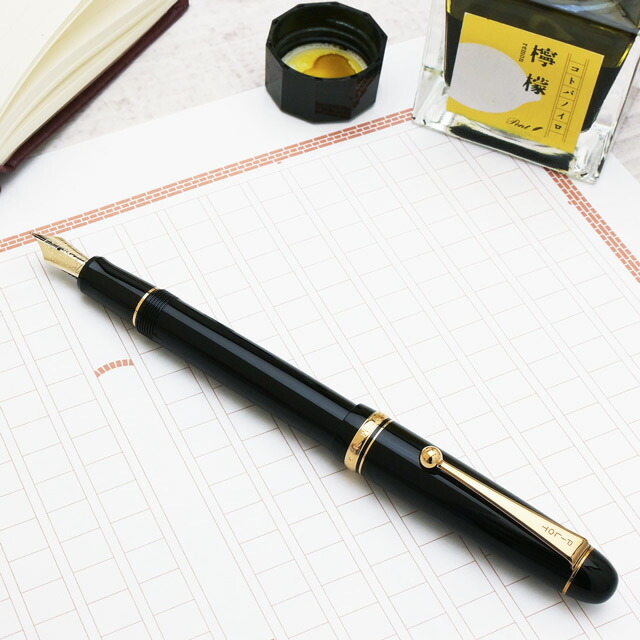 PILOT 万年筆 Z-CR-GN 黒色 (M中字)専用ケース付き パイロット 万年筆