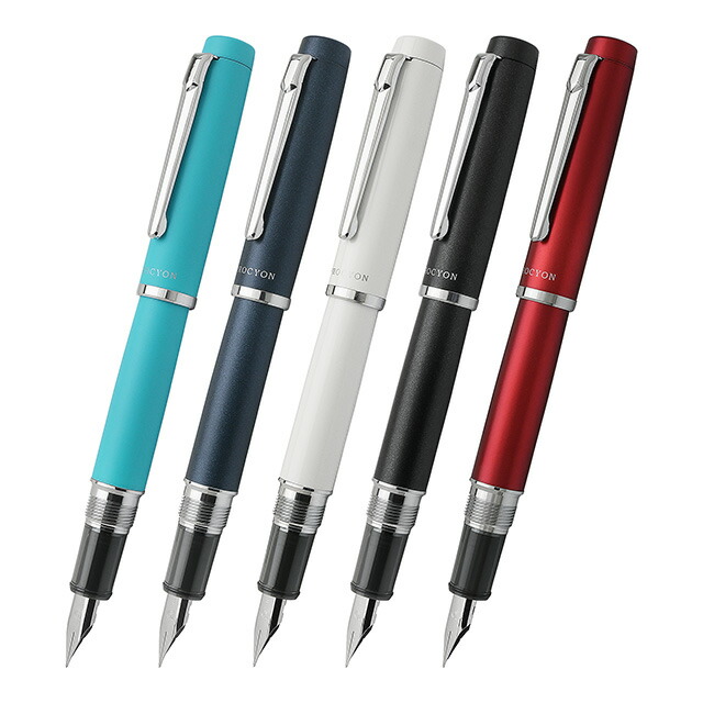 楽天市場】【2/10は最大P5倍！】 プラチナ万年筆 名入れ 万年筆