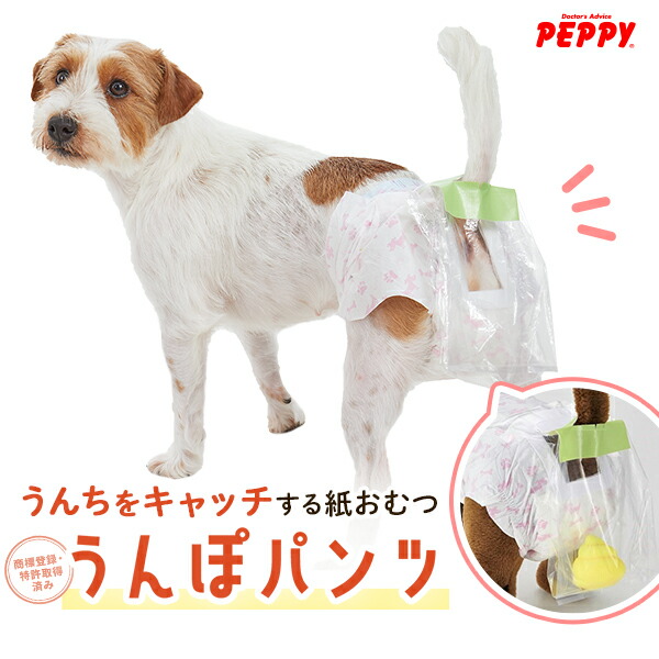 WANCHI うんぽパンツ L 30枚 Amazon.co.jp: うんぽパンツ L・30枚 犬