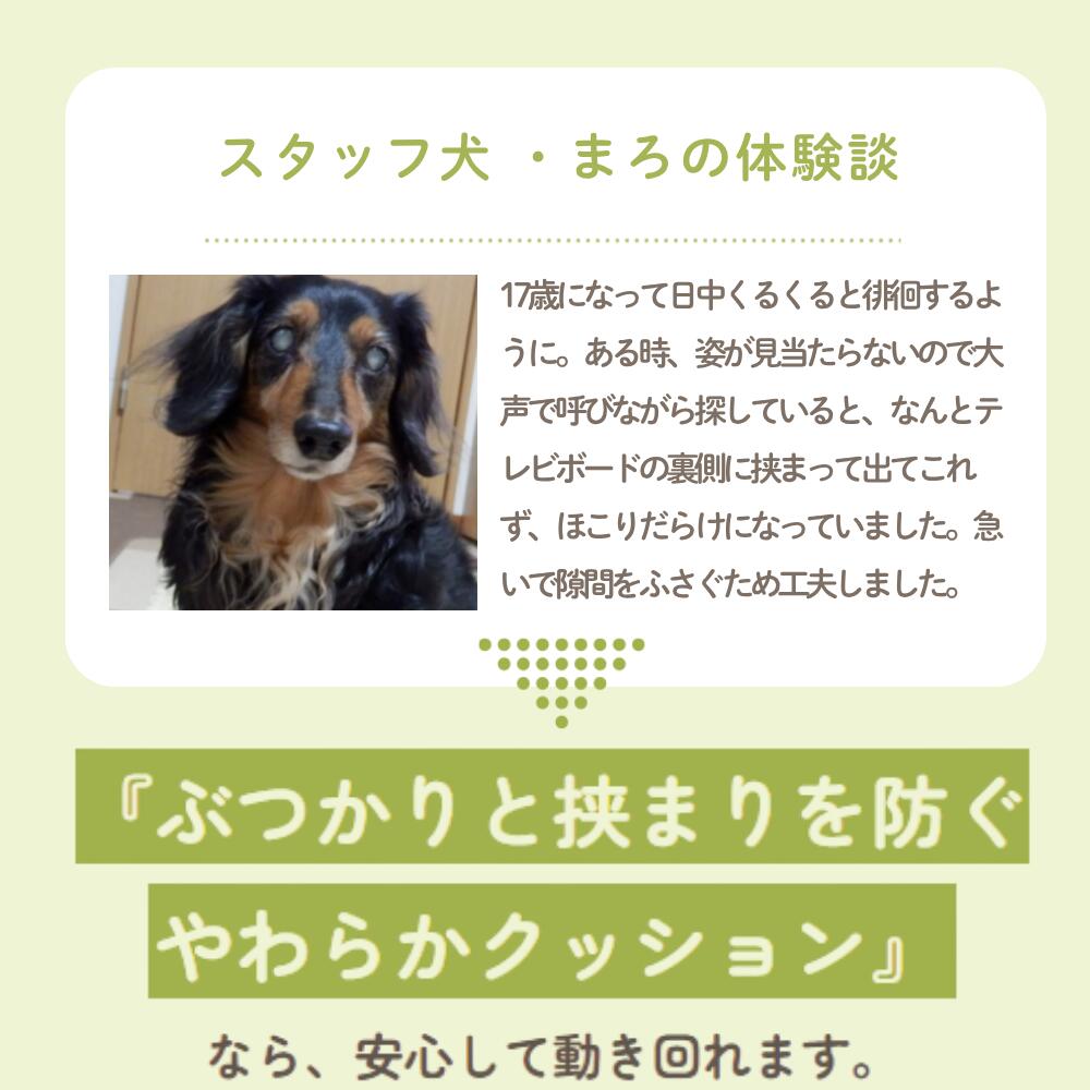 楽天市場】ぶつかりと挟まりを防ぐやわらかクッション（犬の徘徊対策