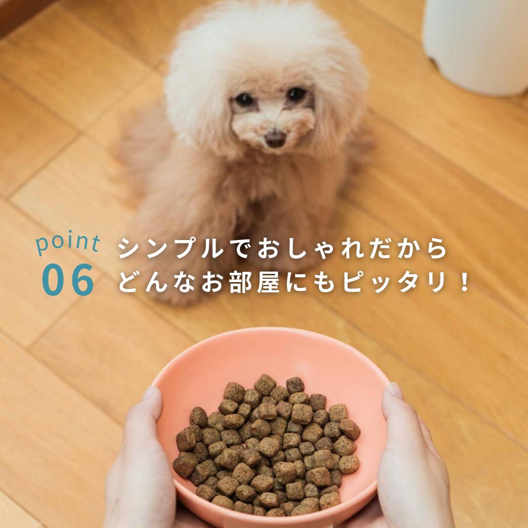 楽天市場】＼クーポンで1000円OFF／ フードボウル 犬 猫 傾斜 浅め