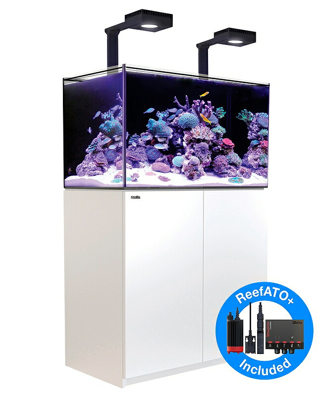 水槽 BRN32 Red Sea Reefer 250 Reefer Deluxe 250 System (54 Gal