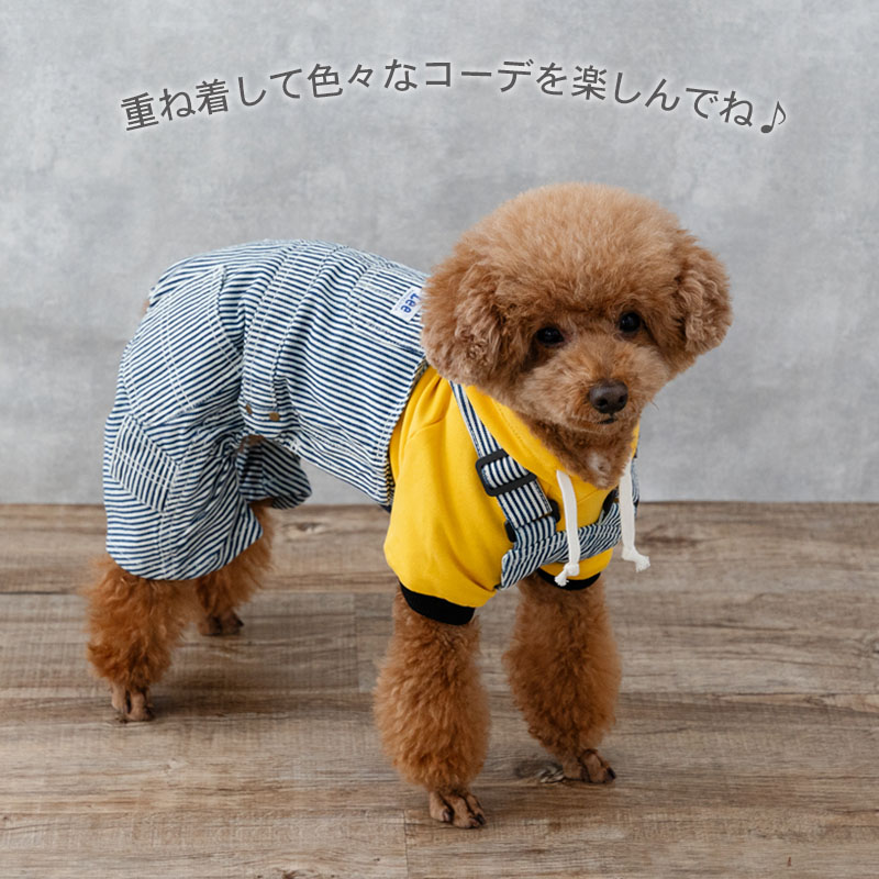 楽天市場】【最大2000円OFFｸｰﾎﾟﾝ】【880円OFF】Lee 犬 服 春 ビッグ