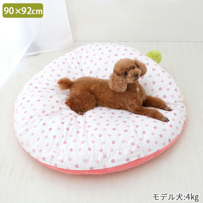 楽天市場】【ポイント10倍】【880円OFF】【ペットパラダイス公式】 犬