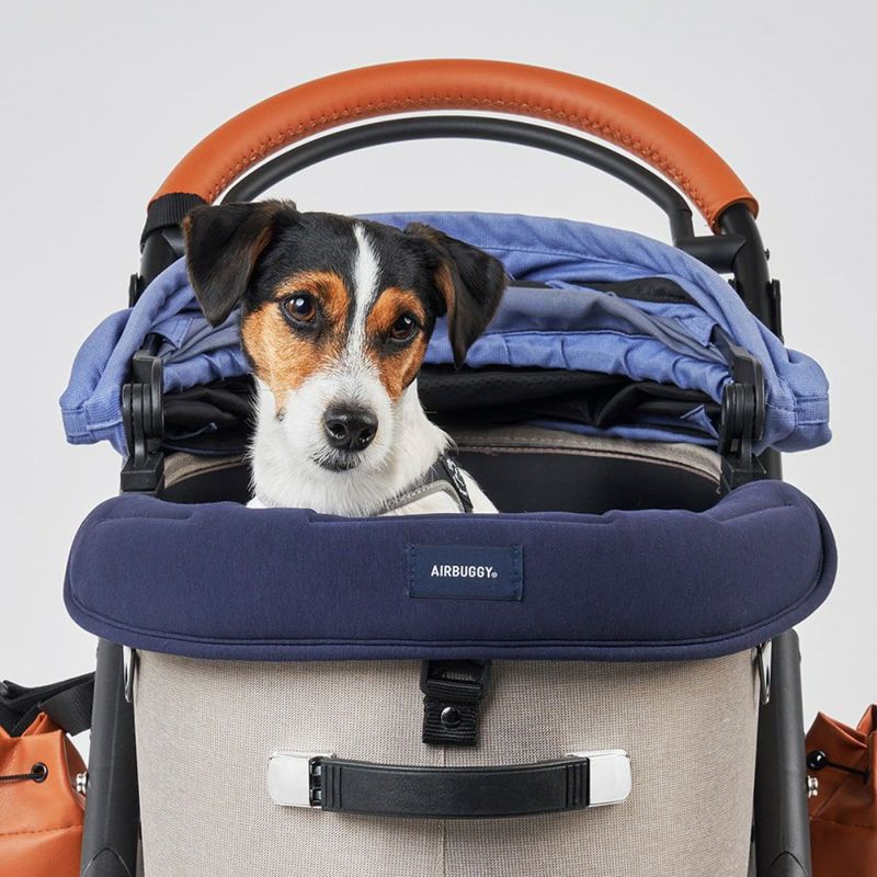 楽天市場】エアバギー オリジナル あごのせクッション コーナー